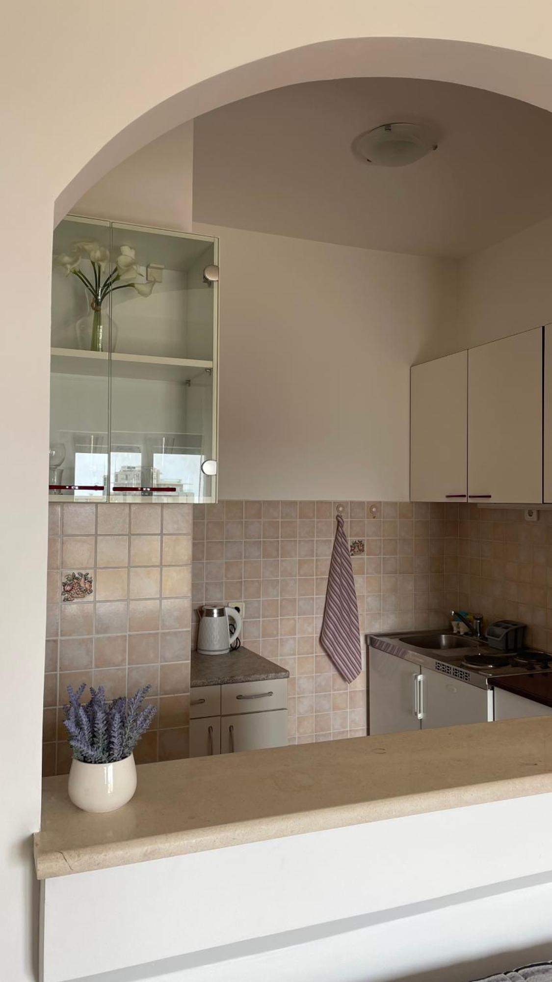 Apartment Tatjana Petrovac Extérieur photo